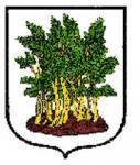 logo commune de belfahy